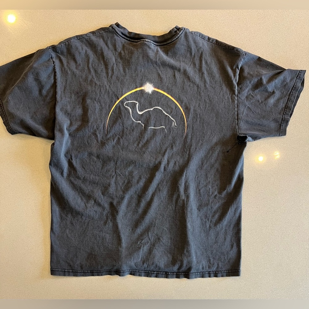 Vintage Thrashed Y2K Hanes XL Camel Graphic Tee – Desert Sun Logo Pocket Shirt - Picture 9 of 12
